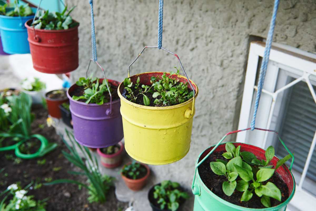 Multi-Crop Strategies That Maximize Small Garden Spaces
