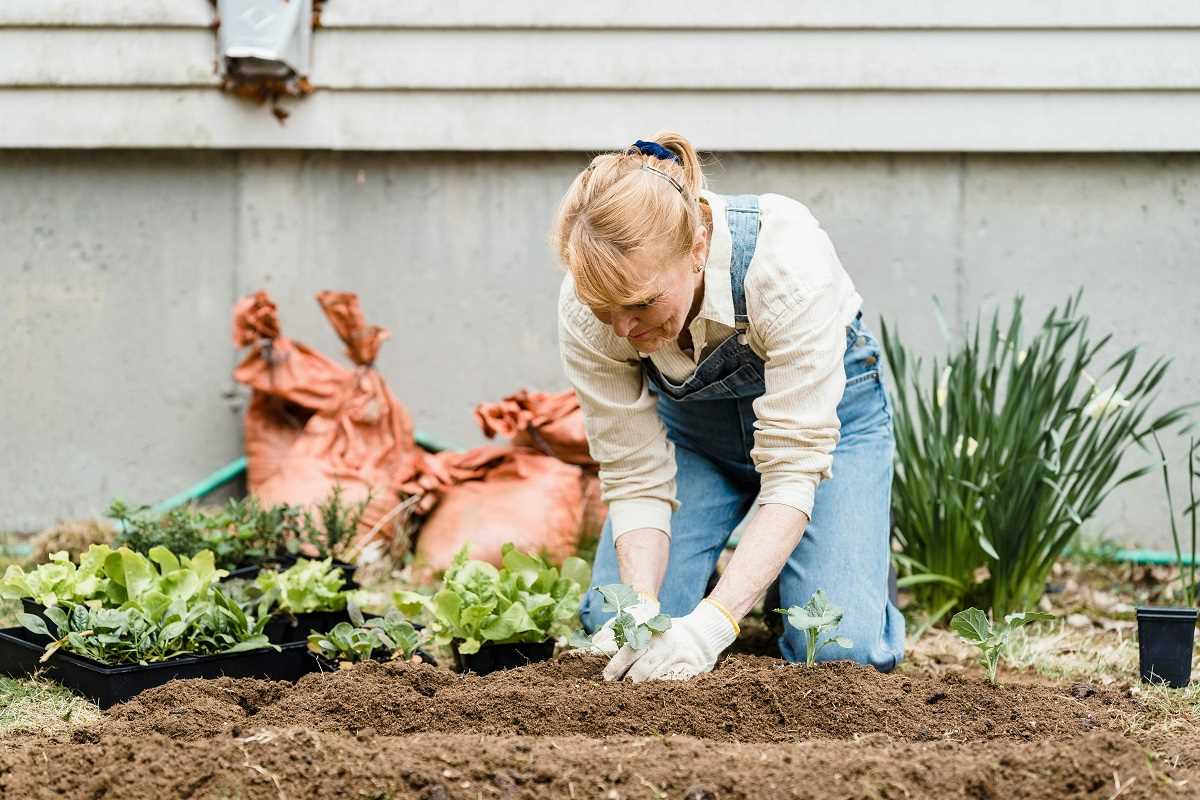 Innovative Permaculture Techniques for Small Scale Farmers