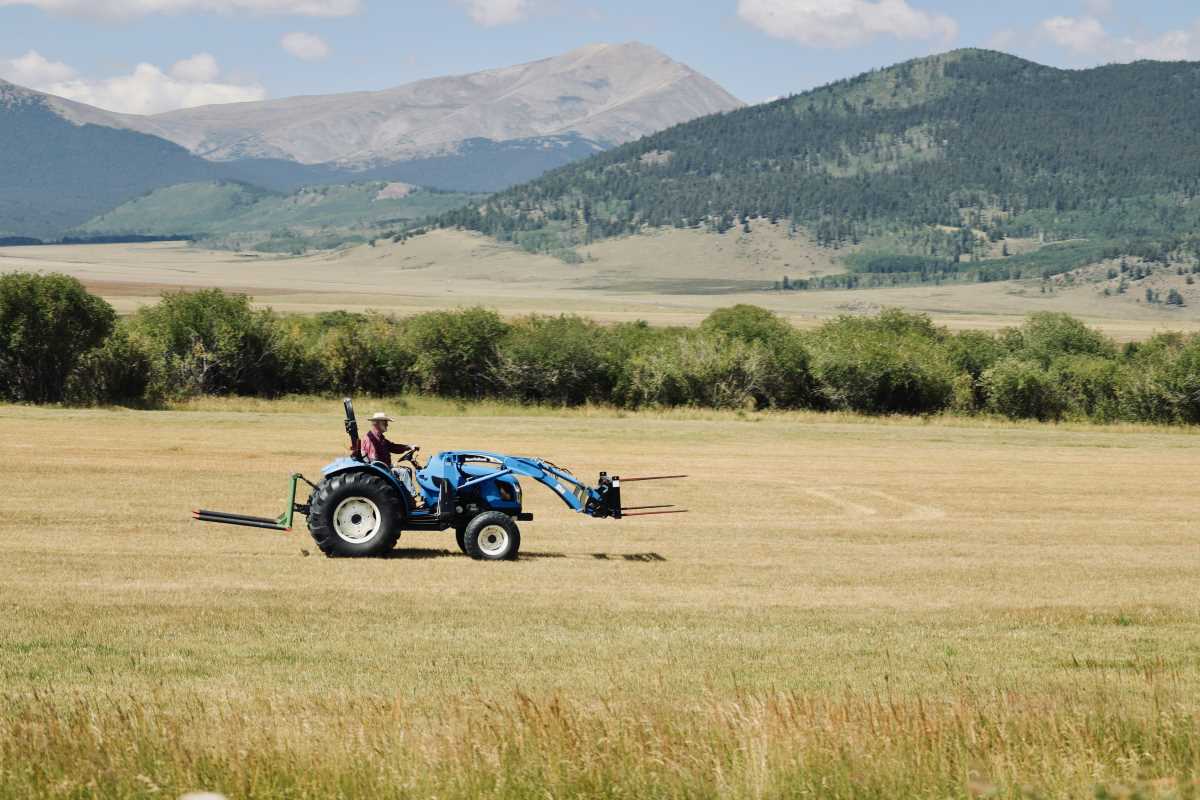 How to Start a Farm Co-op That Strengthens Local Food Systems