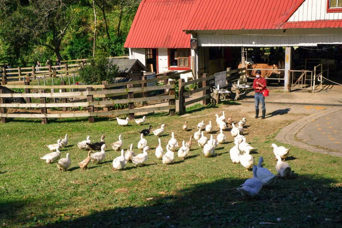 5 Gatherings Where Farmers Trade Skills and Wisdom