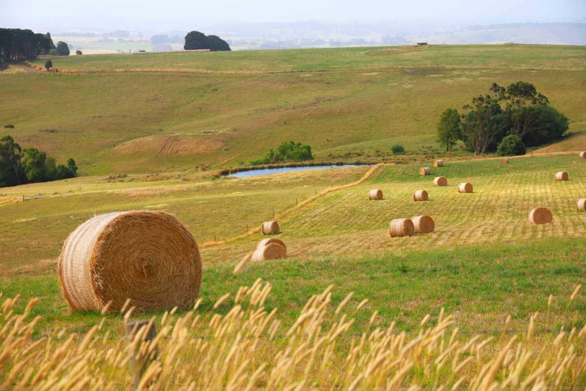 The Neatest Crop Rotation Systems That Reduce Pest Problems